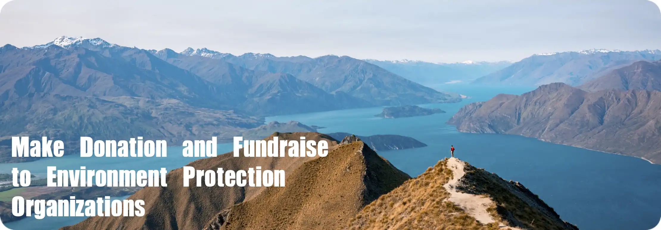 Donation To Epo