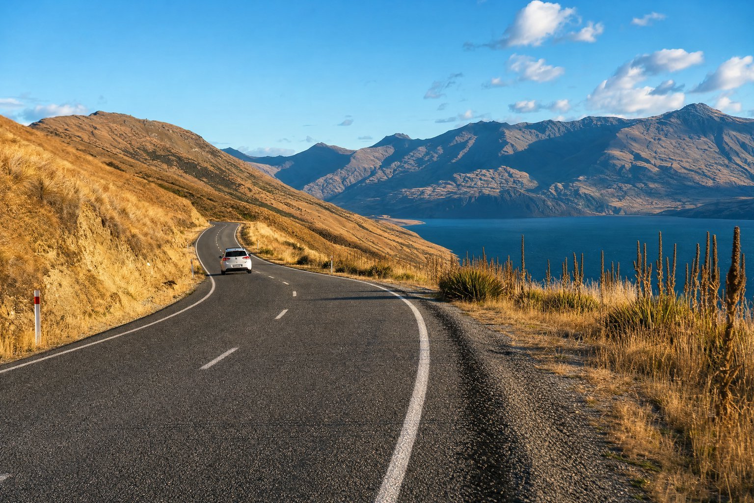 Driving in New Zealand in Summer: A Practical Road Trip Guide